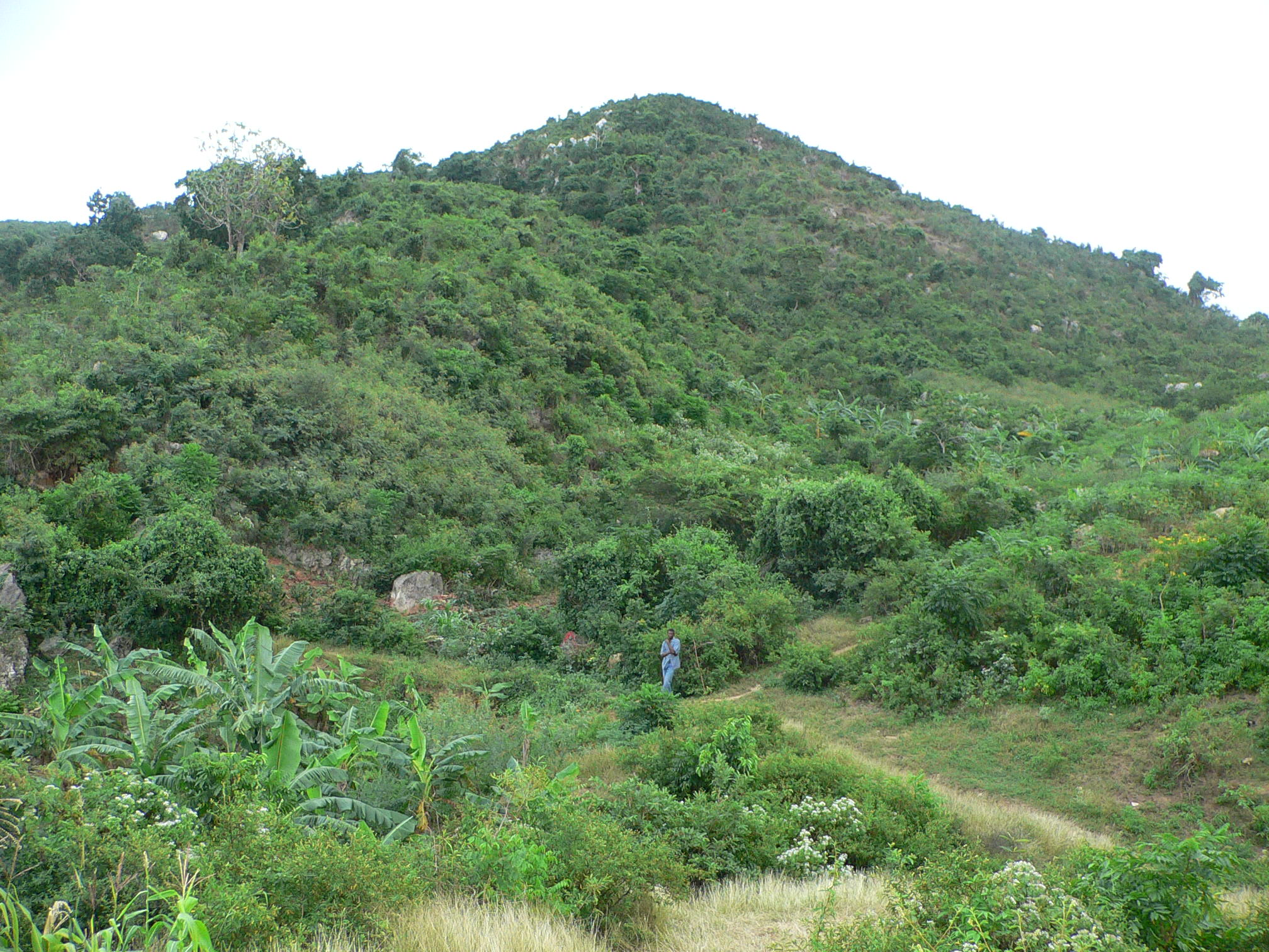 Bois Roc vu depuis l'entrée