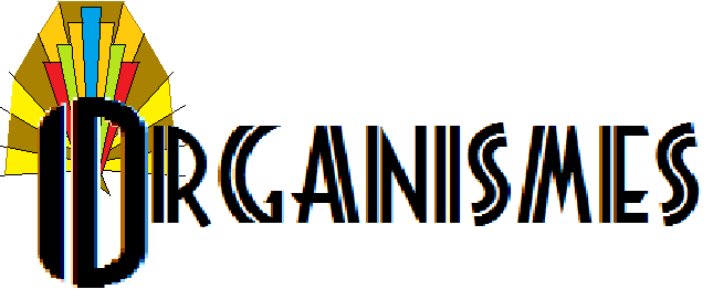 Joncas design bas organismes