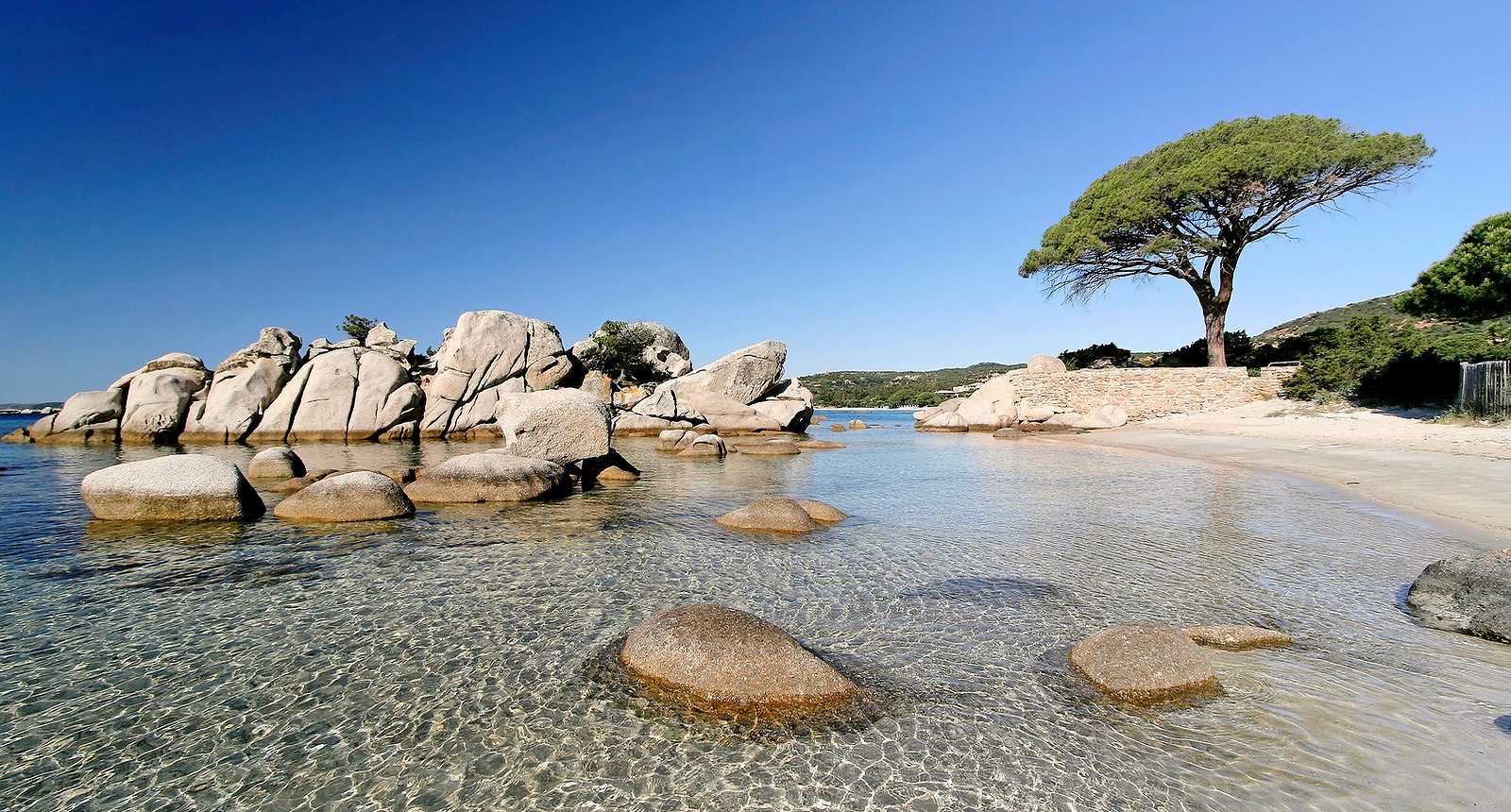 Plage de palombaggia 