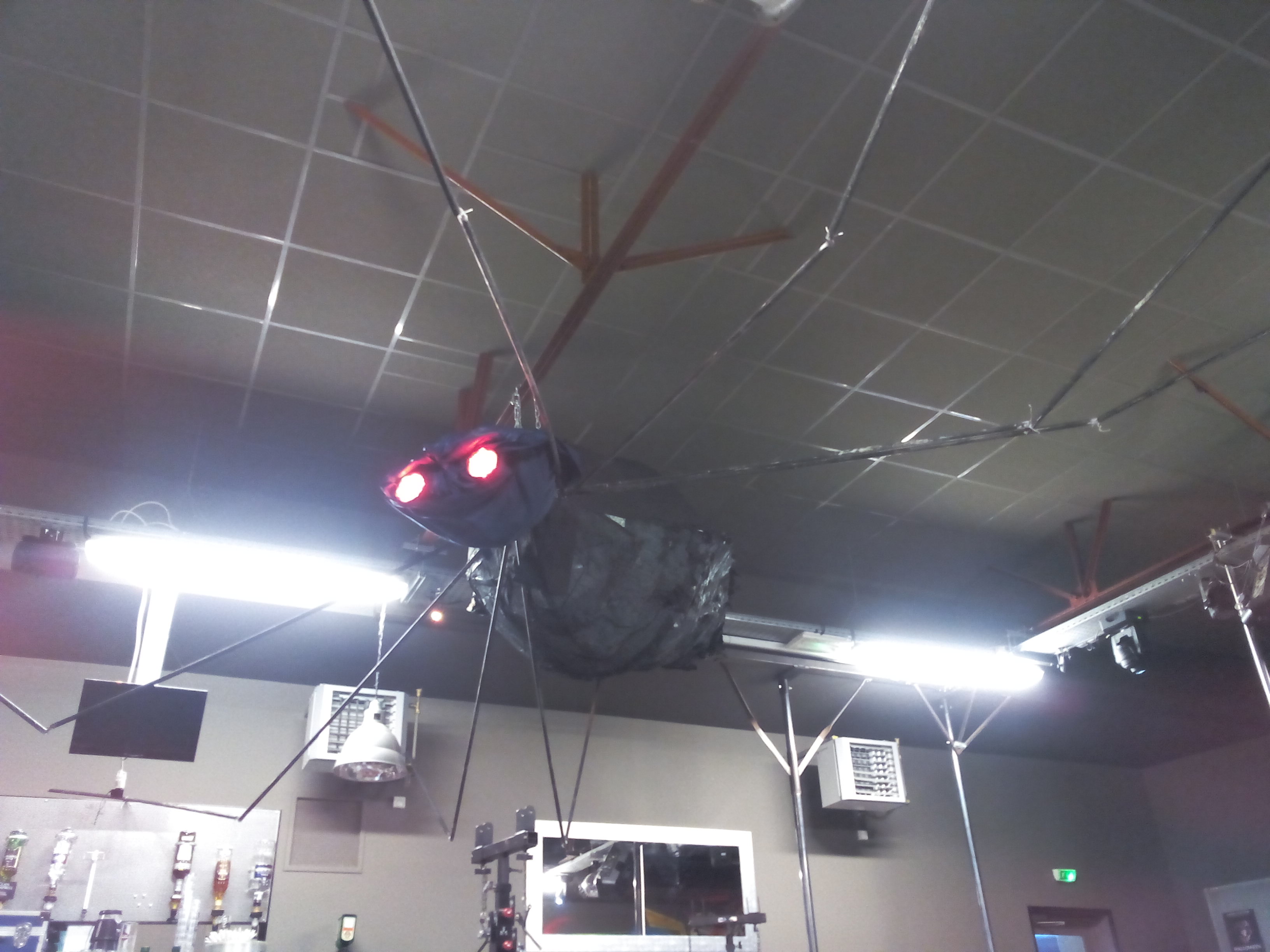 IMG 20151031 155207 1 