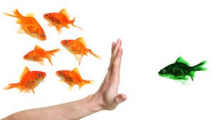 Equité de traitement des associations ?