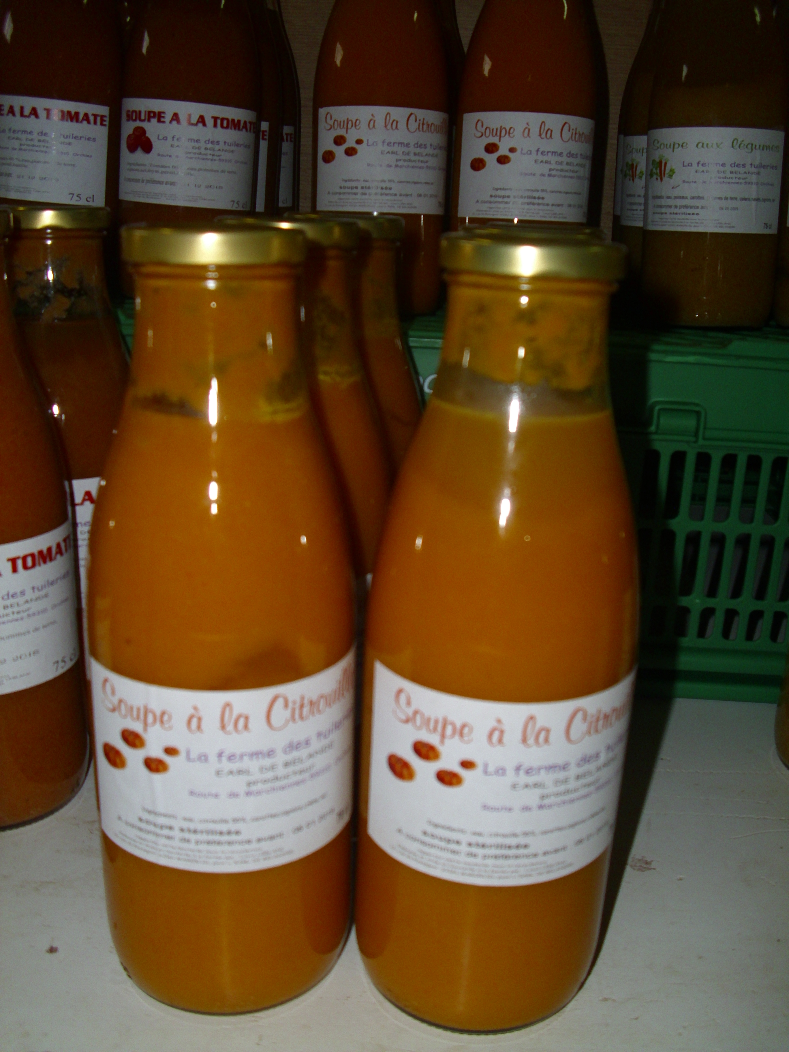 Dsci0256 2 