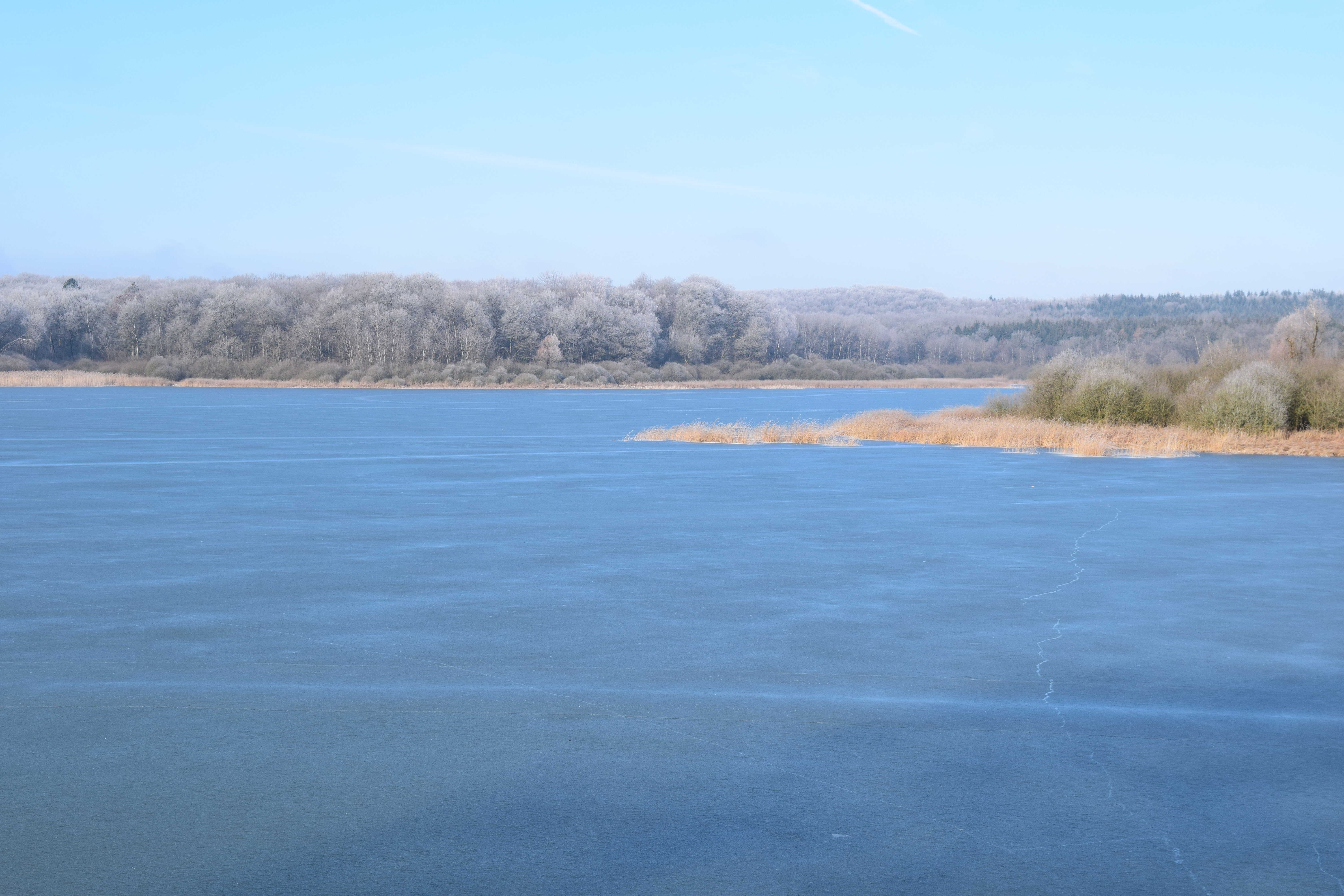 Vue de l etang 7 