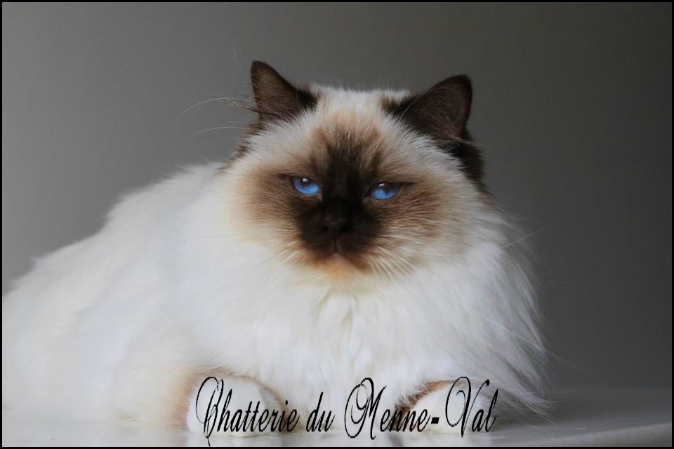 Je ne sais quoi