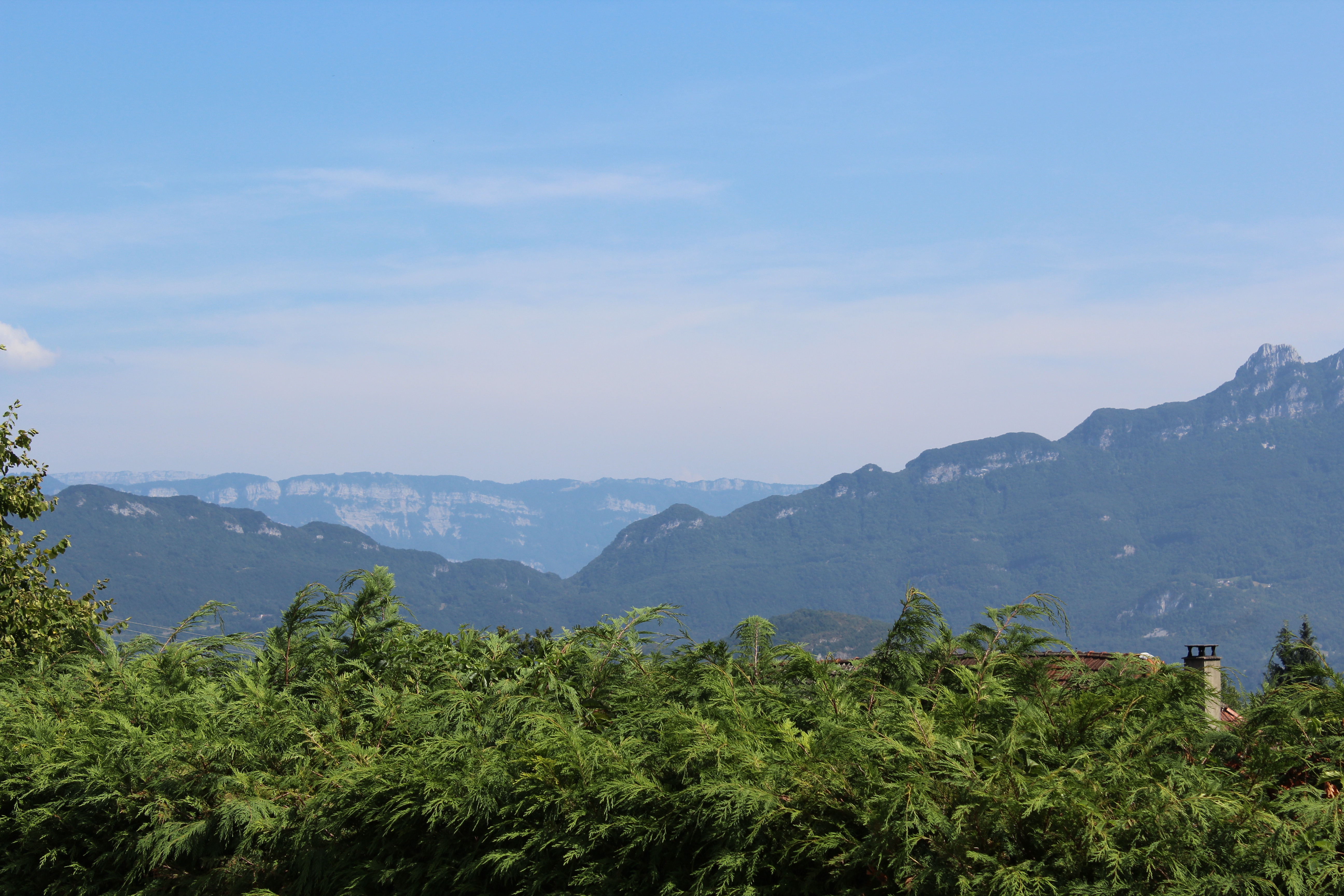 2015 07 15 feldenkrais et taichi 005