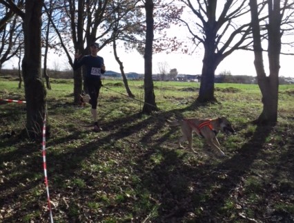 Sandy et Jean-Philippe en plein cani-cross.
