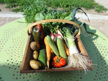 Panier du jardin 2