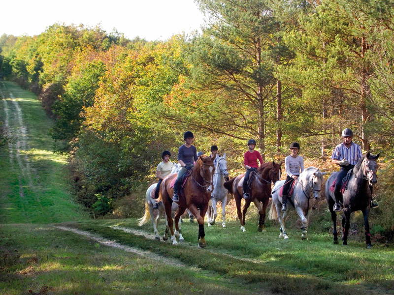 Equitation
