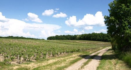 Route des vins de touraine vignoble aoc vouvray