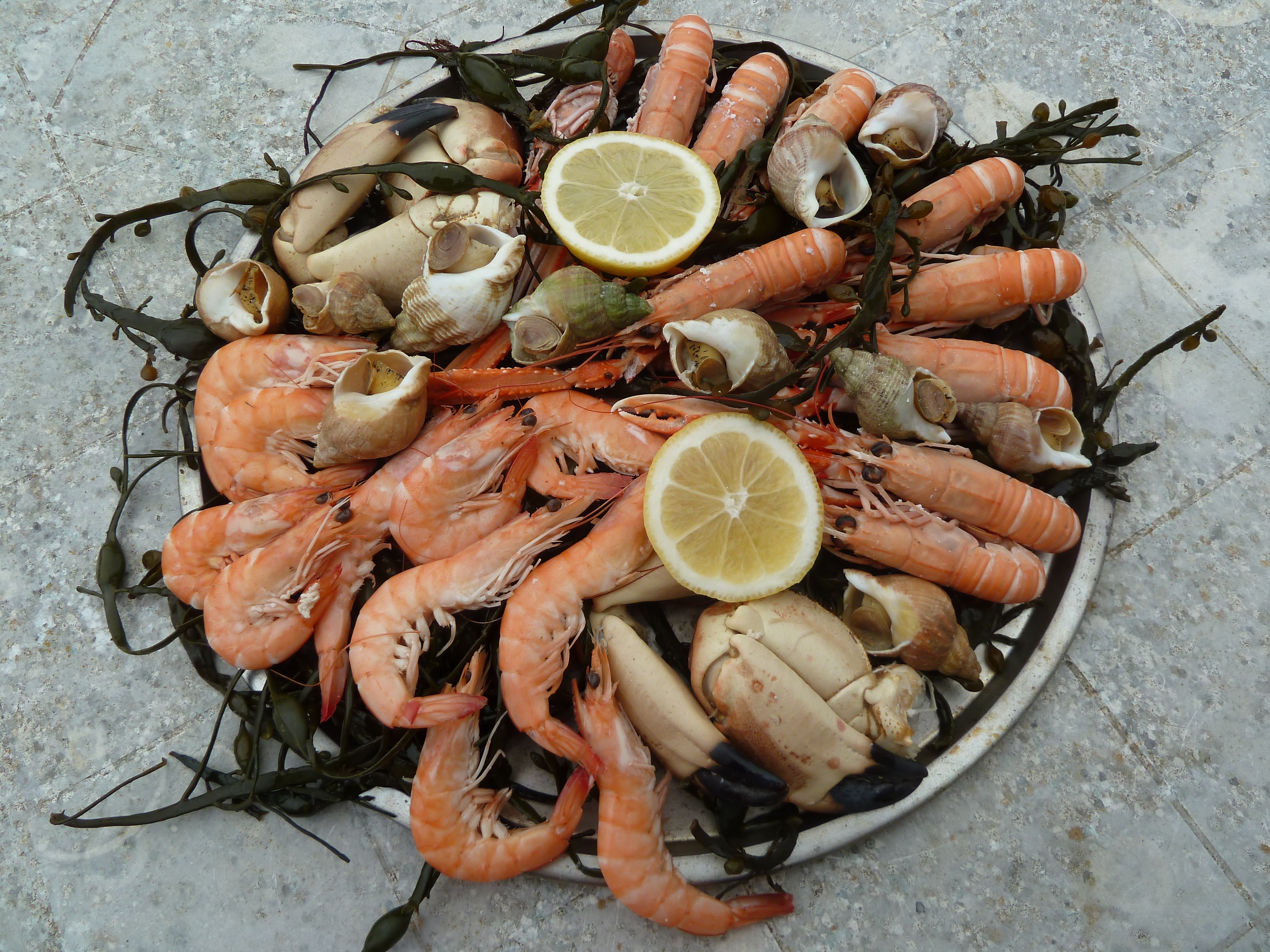         Fruits de la mer