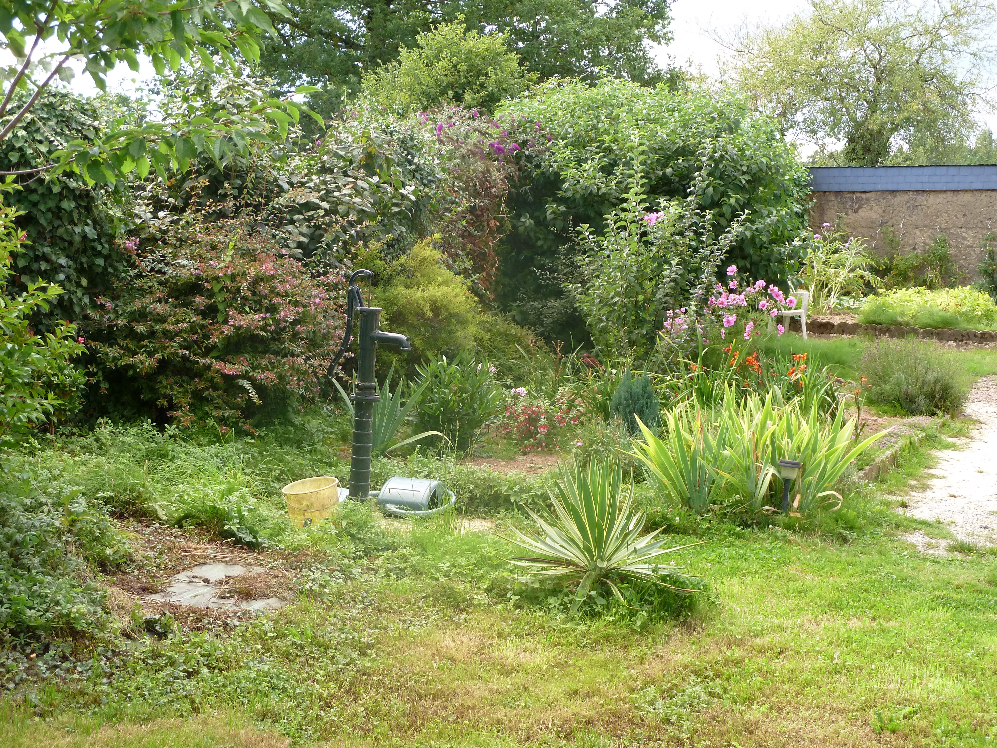         Dans le jardin...