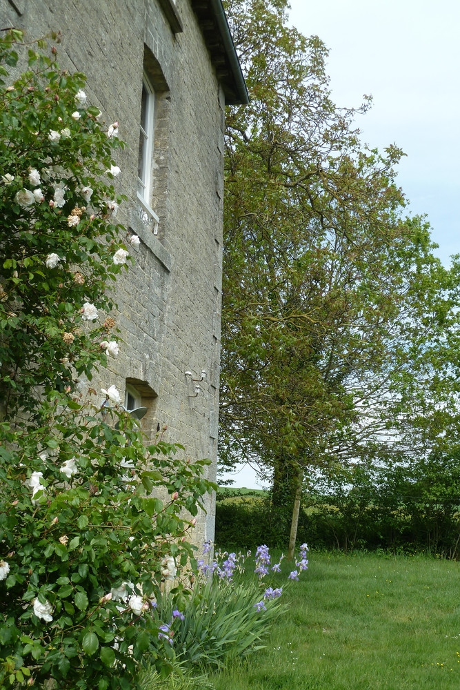         Dans le jardin...