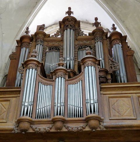 Img 6549