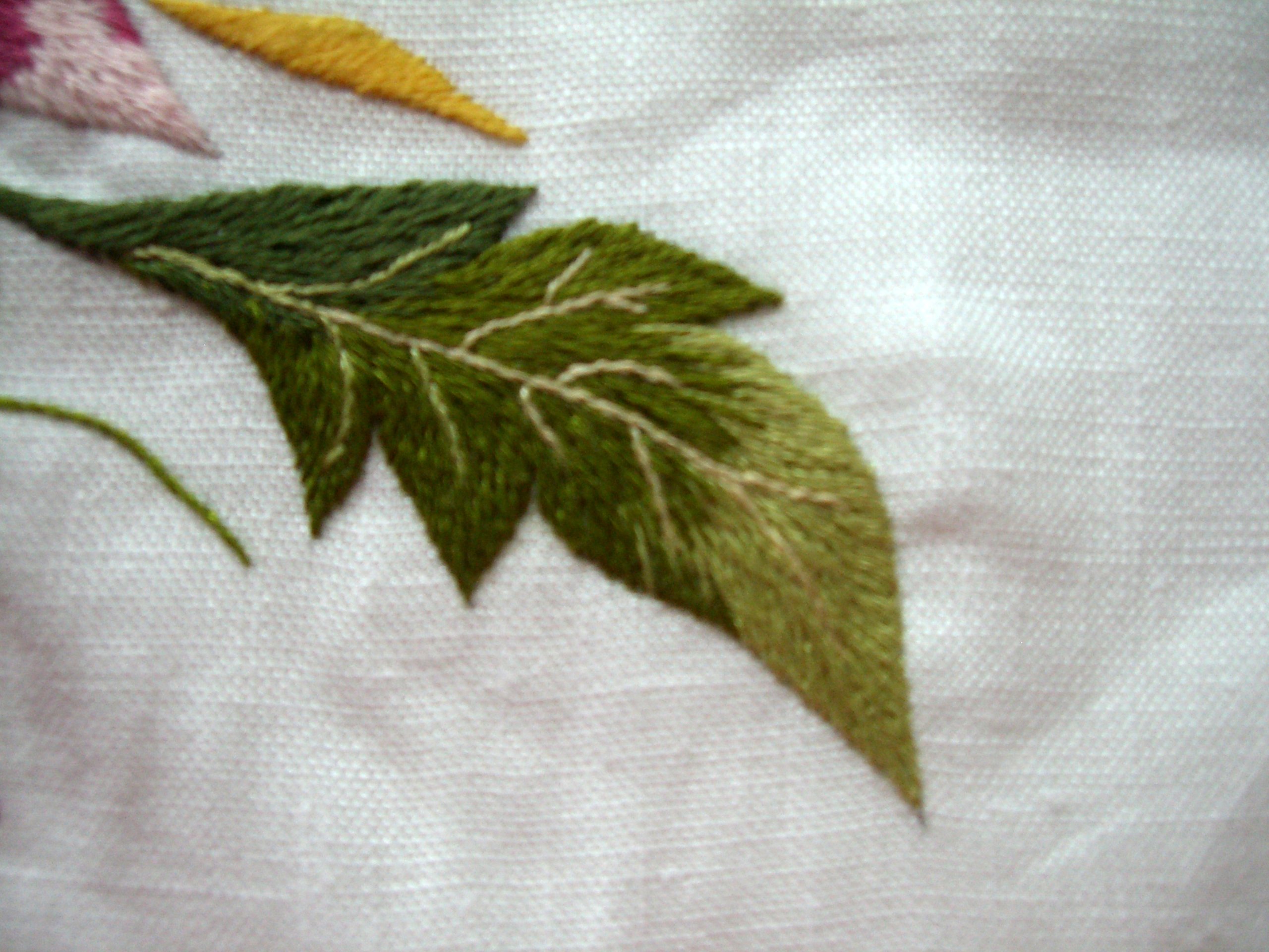 Détail Feuille passé empiètant et nervure en point de tige