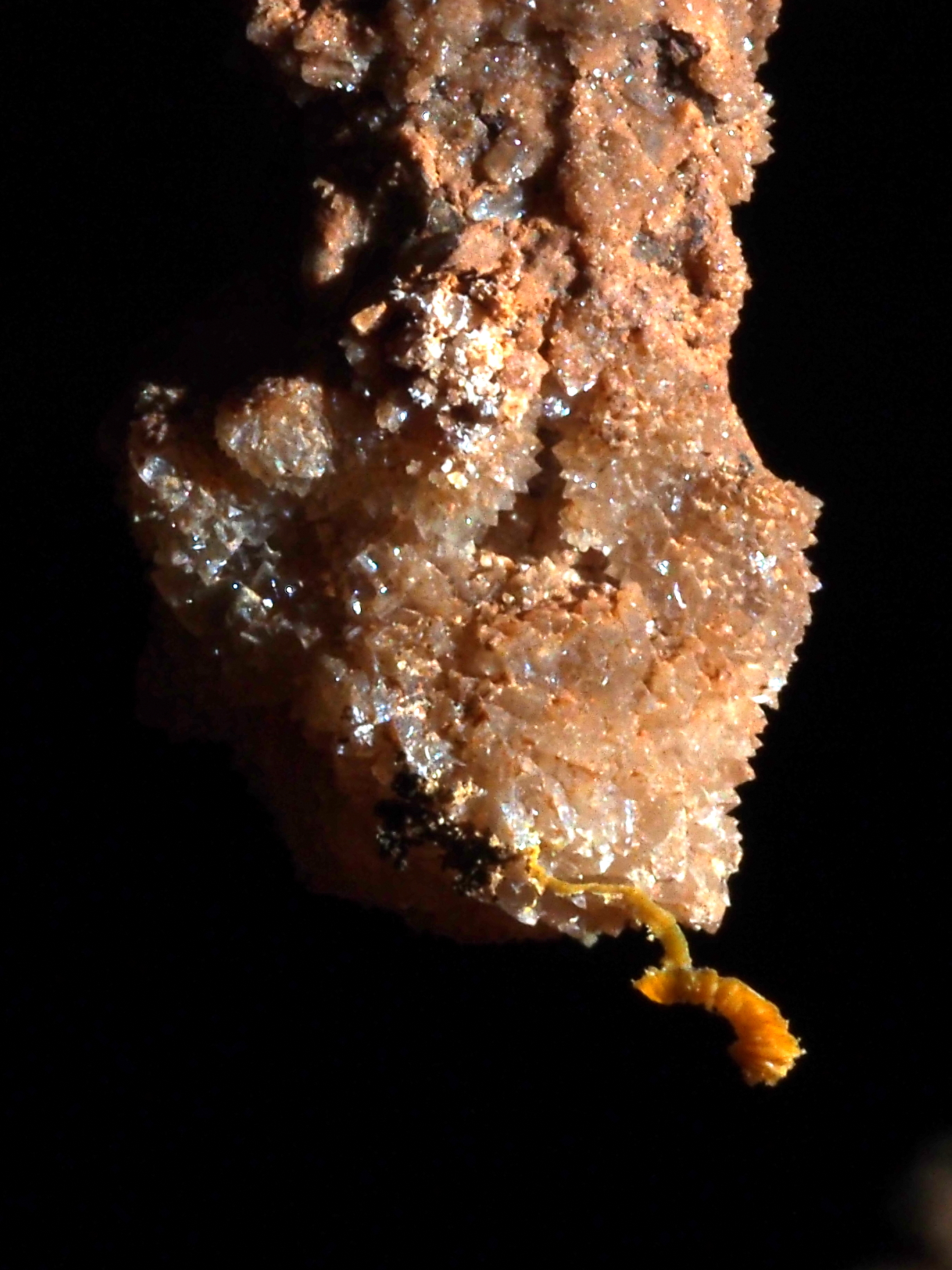 Pc040265