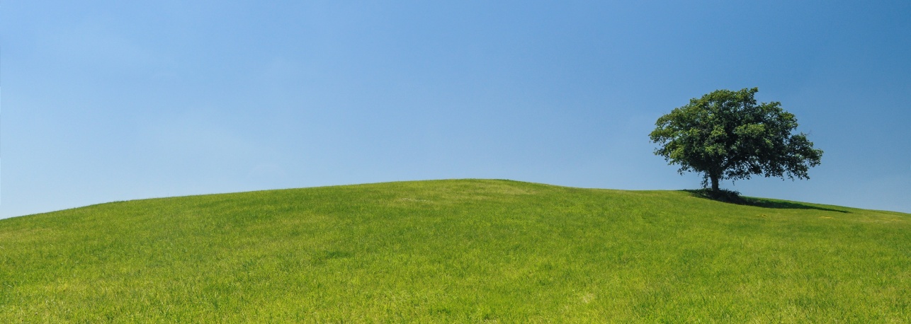 Paysage