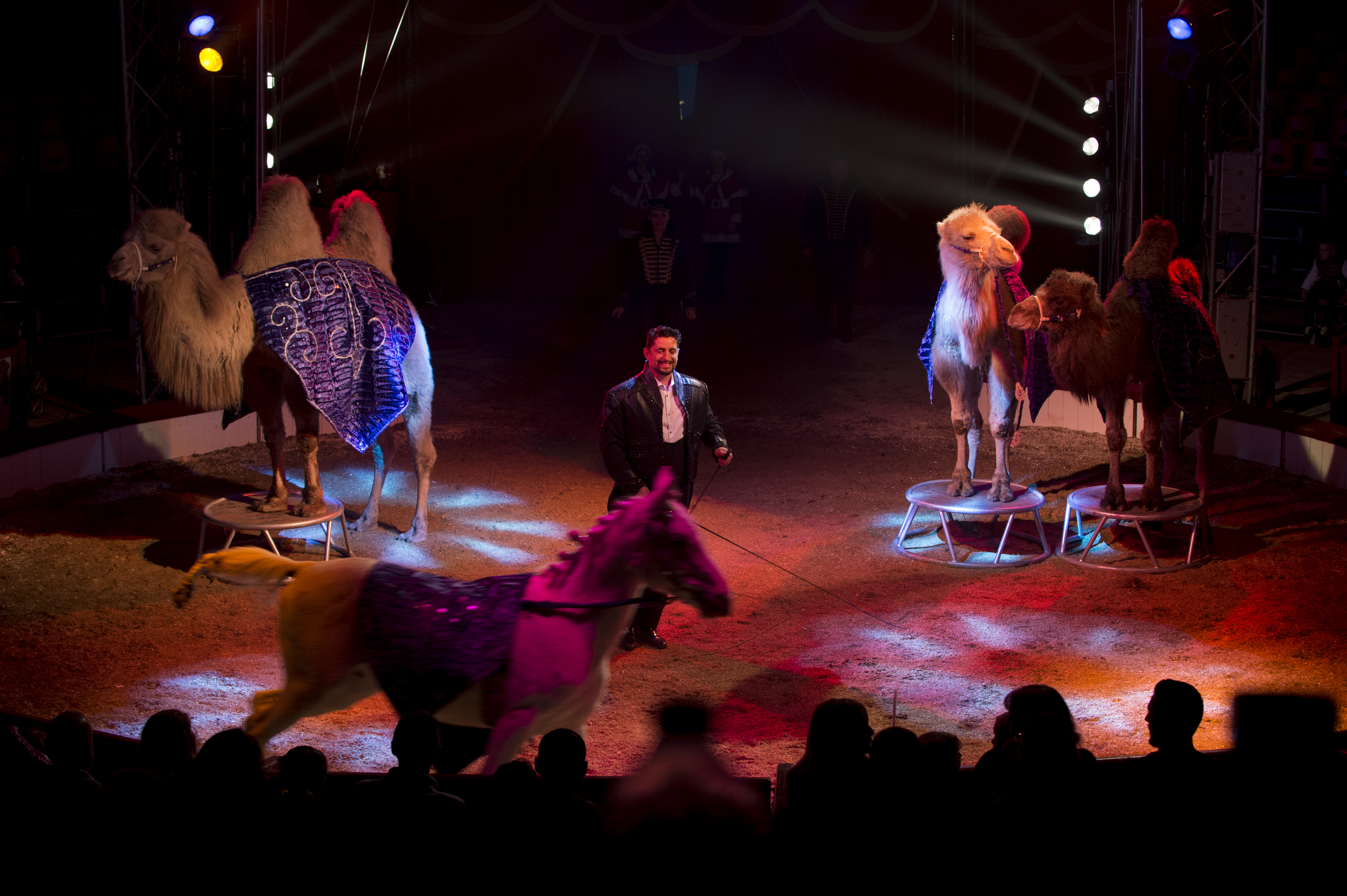 048 spectacle cirque micheletty 05 12 2015