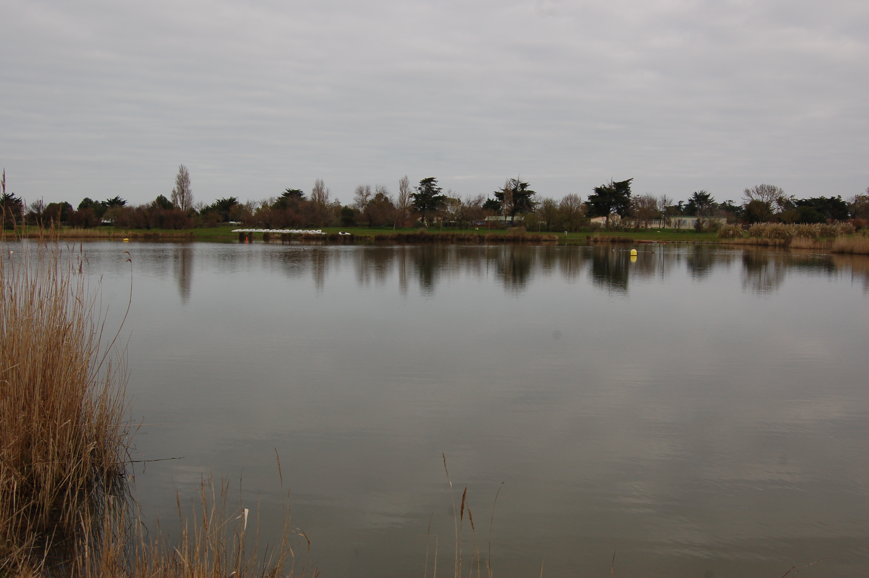 Etang des rouches 03 2016 13 