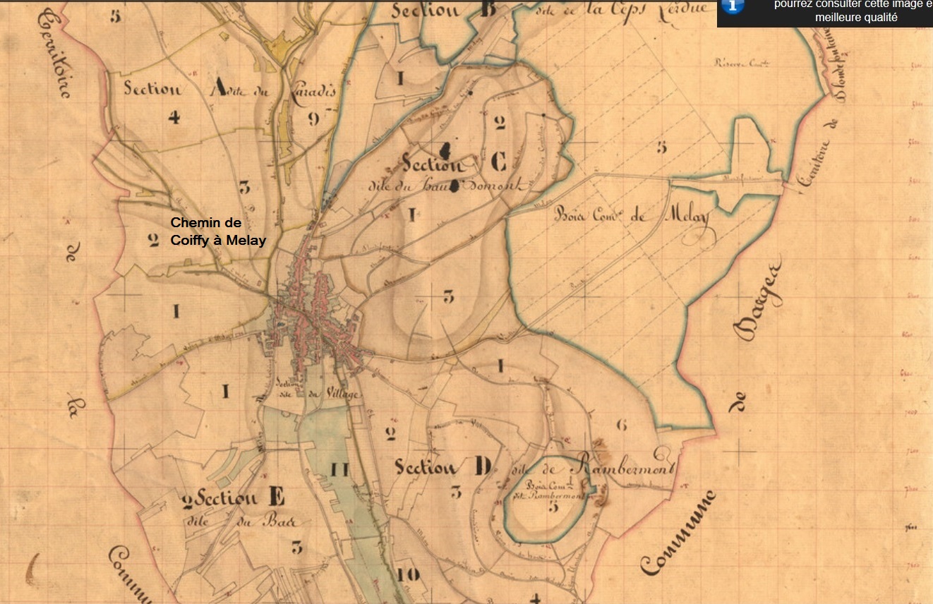 9102 Cadastre napoleonien MELAY 2 detail s