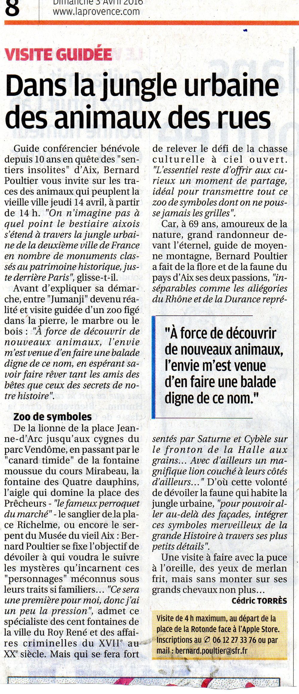 Animauxdanslavilleaaa