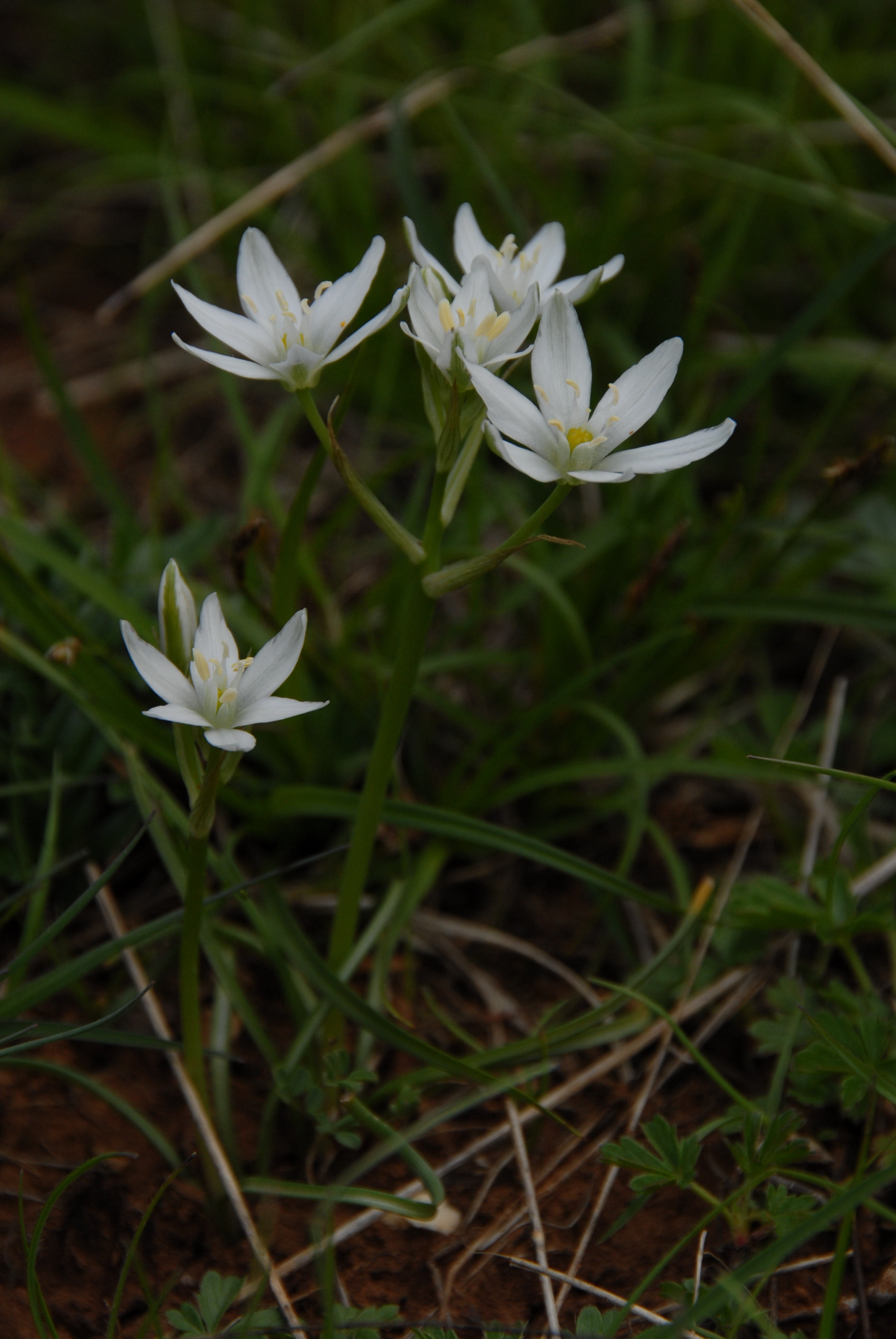 Dsc 00951724