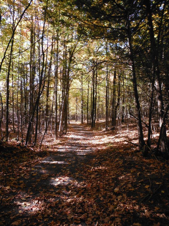 Sentier automne