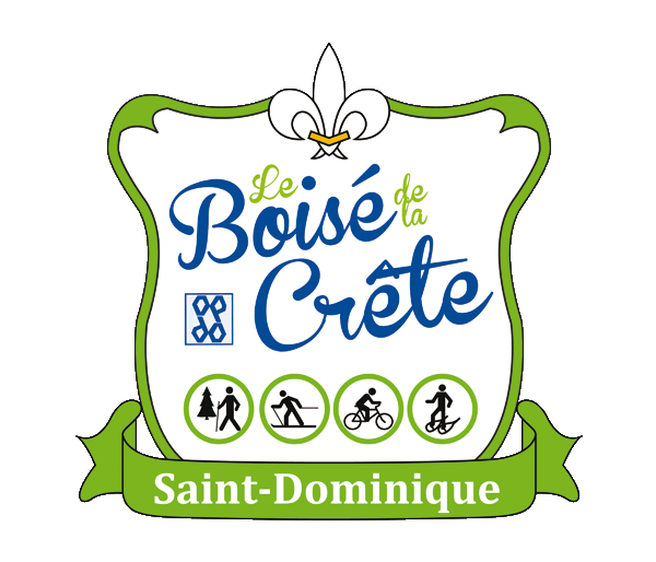 Logoweb