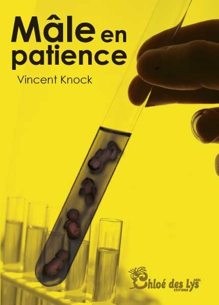 1ere de couverture male en patience