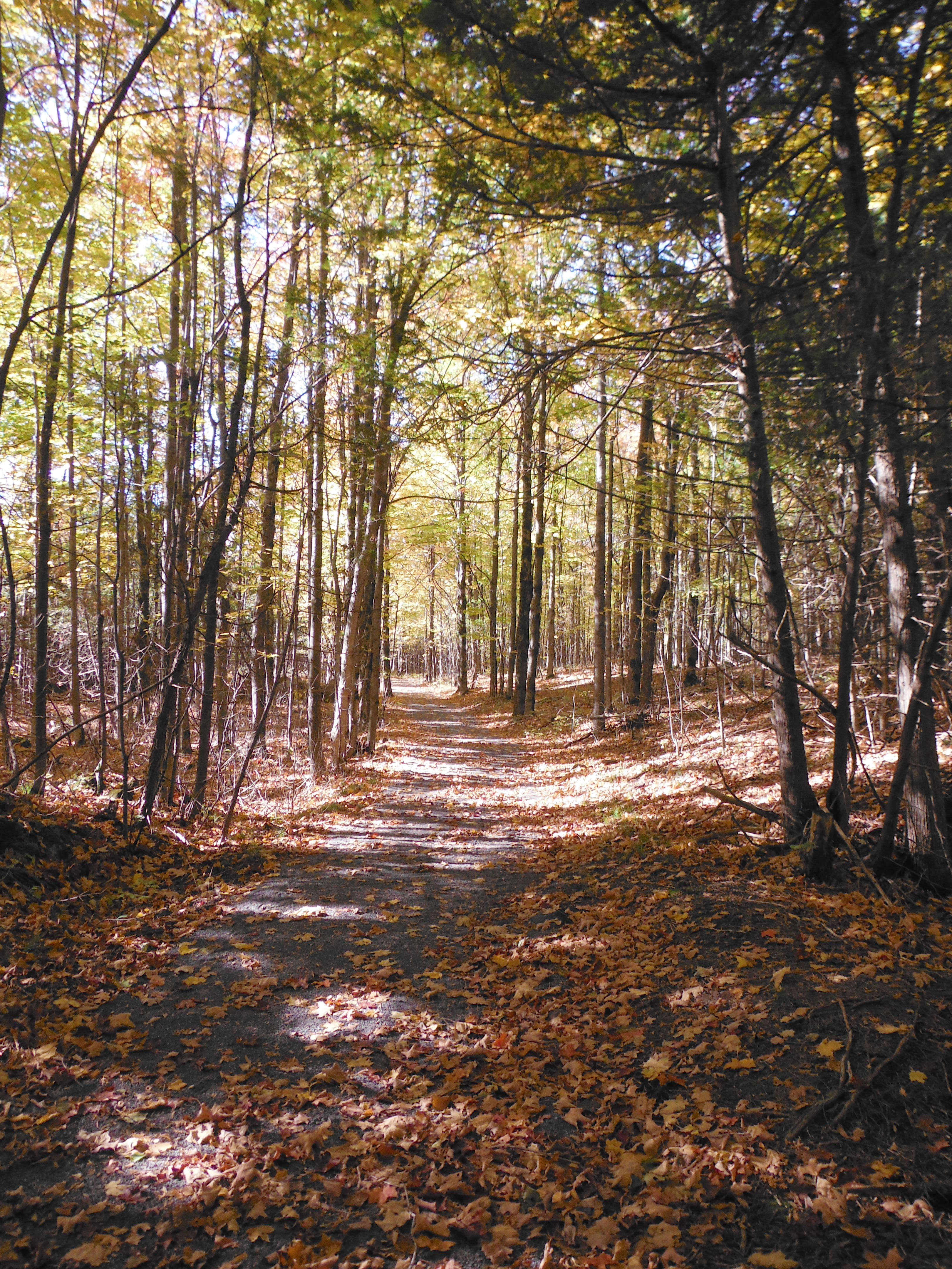 Automne
