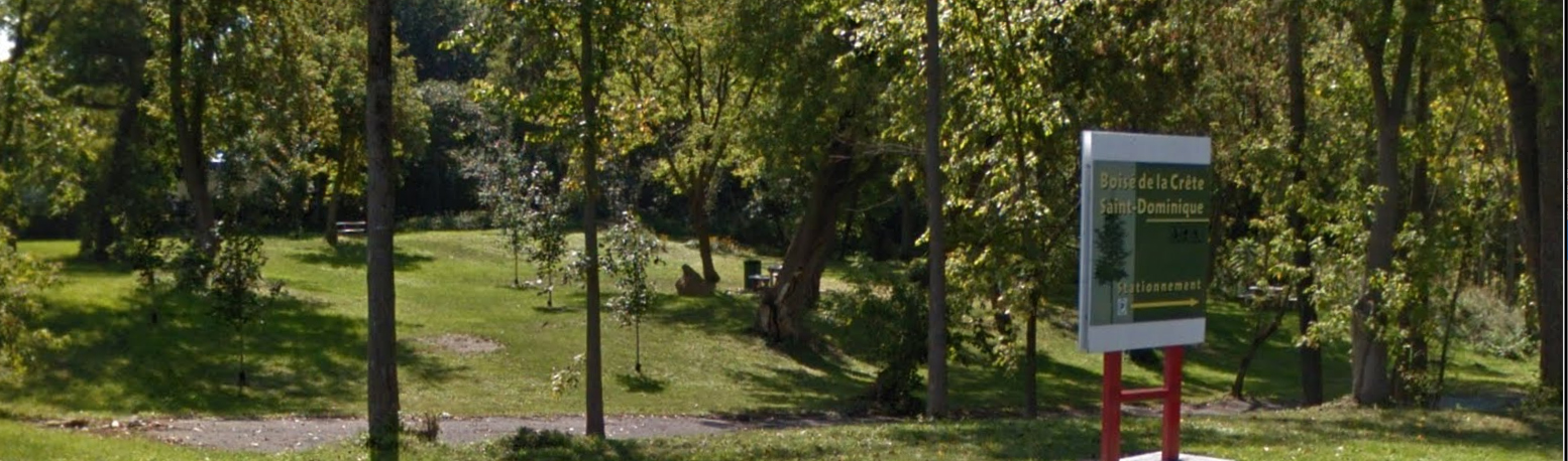 Boise google