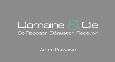 Logo domaineetcie