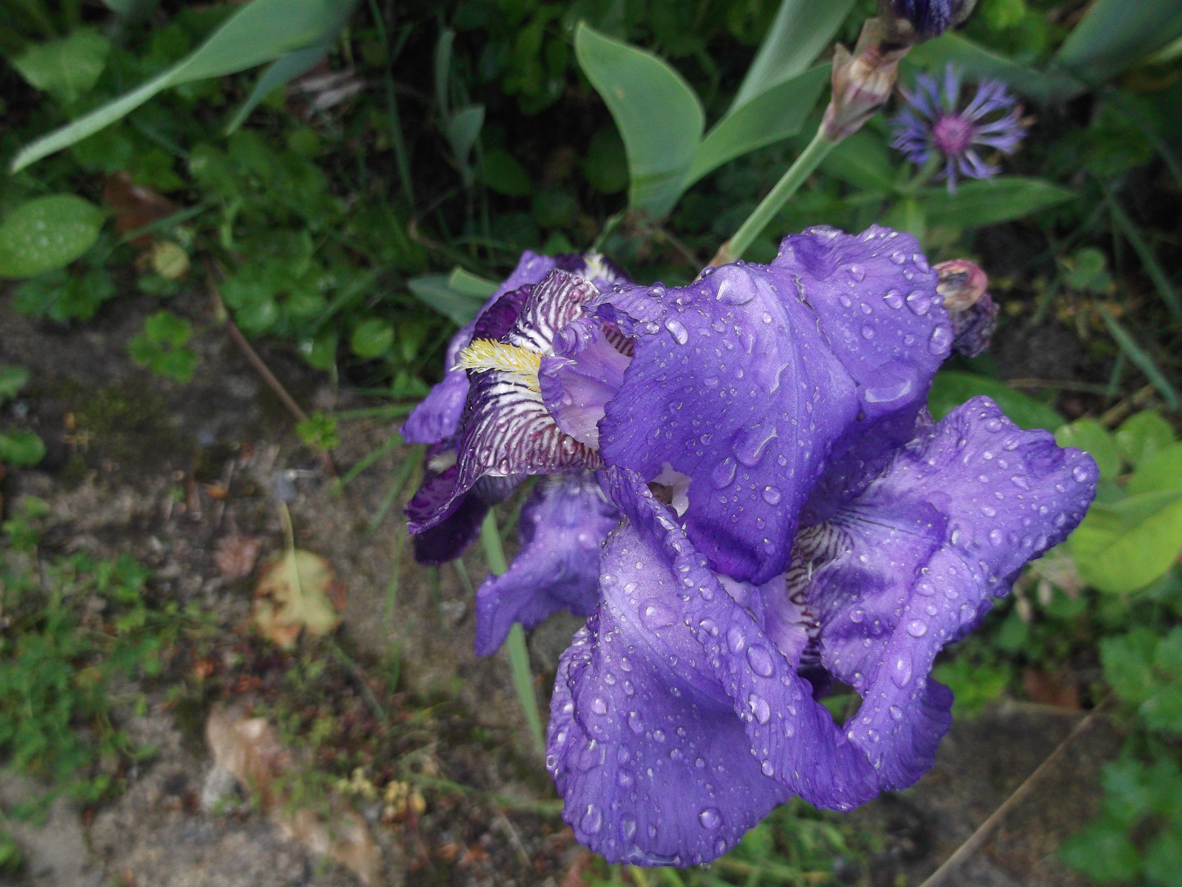 DSCF0527 1