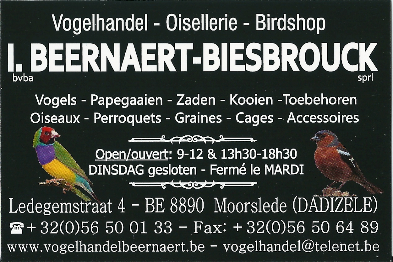B pub0001