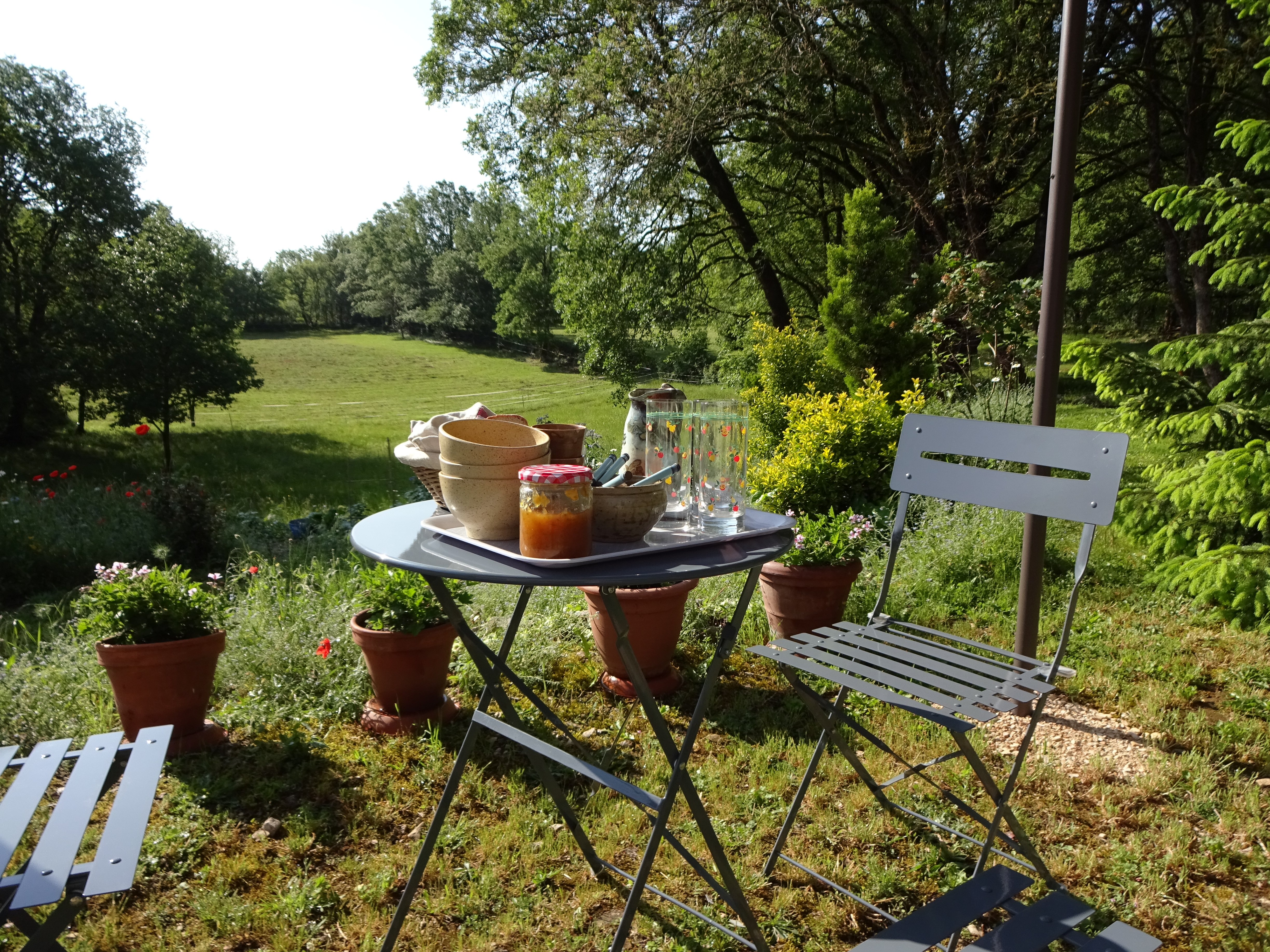 DSC02985