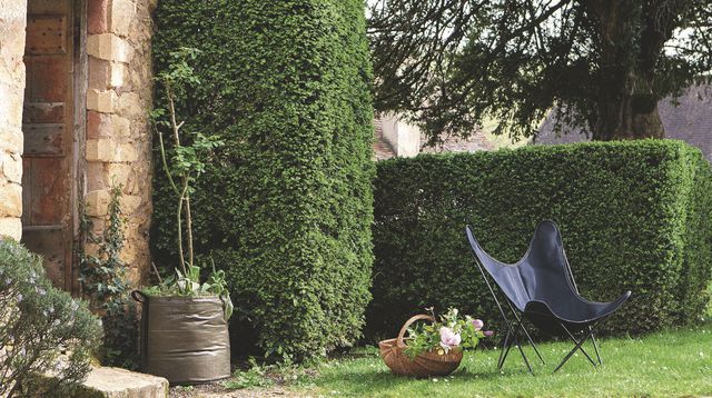 Le jardin verdoyant de la maison de campagne de thierry laigle dans le perigord 5445635
