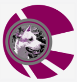 Logo sur fd gris pr cv