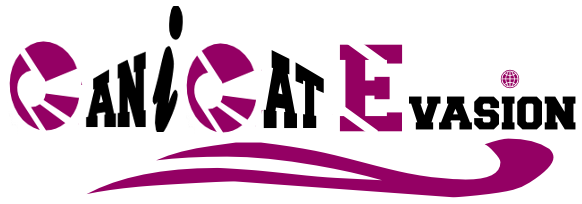 Canicat evasion