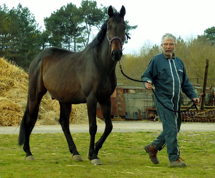 Sortie bob P1030277 modifi 1 R