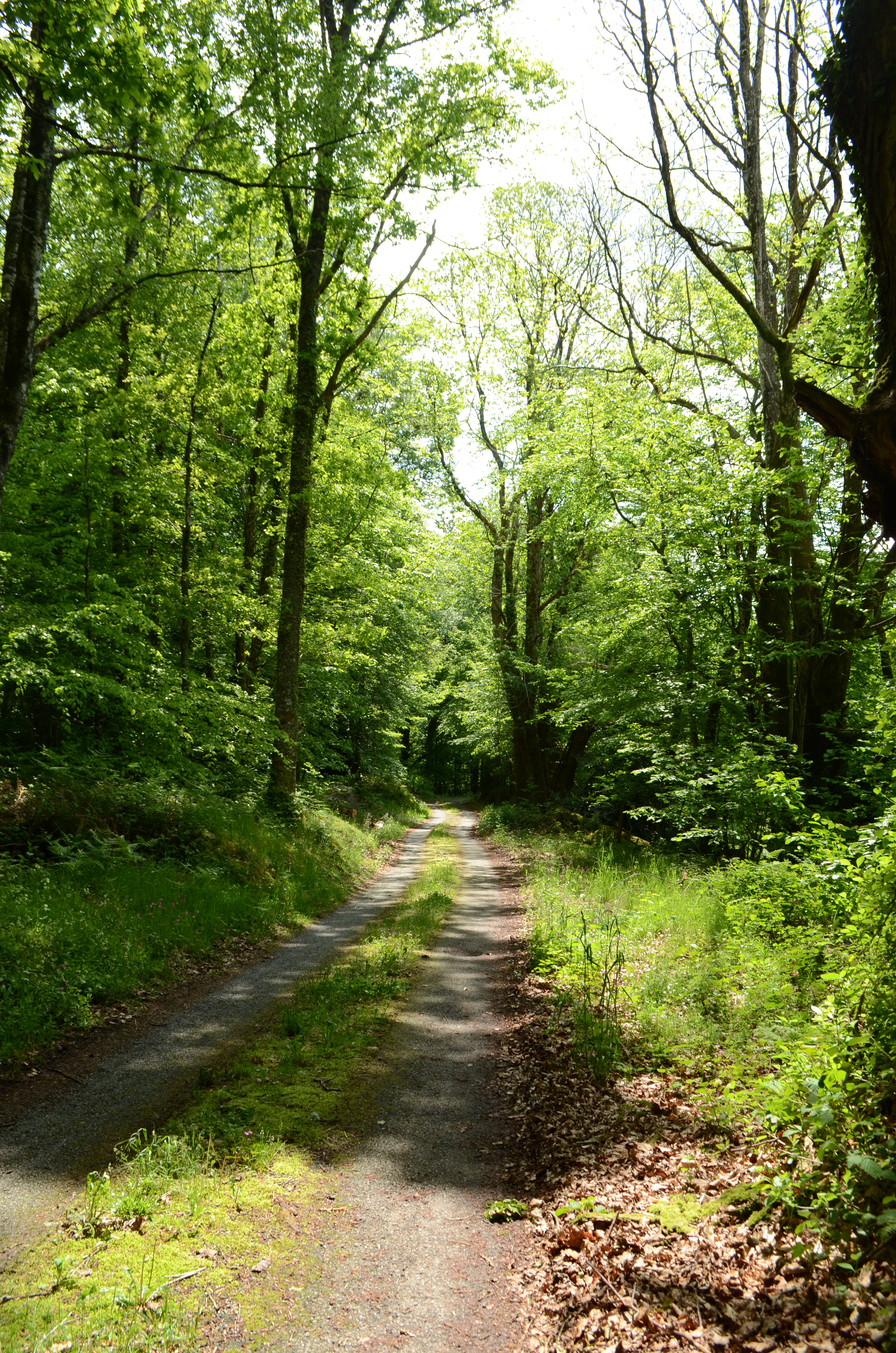 Chemin 2