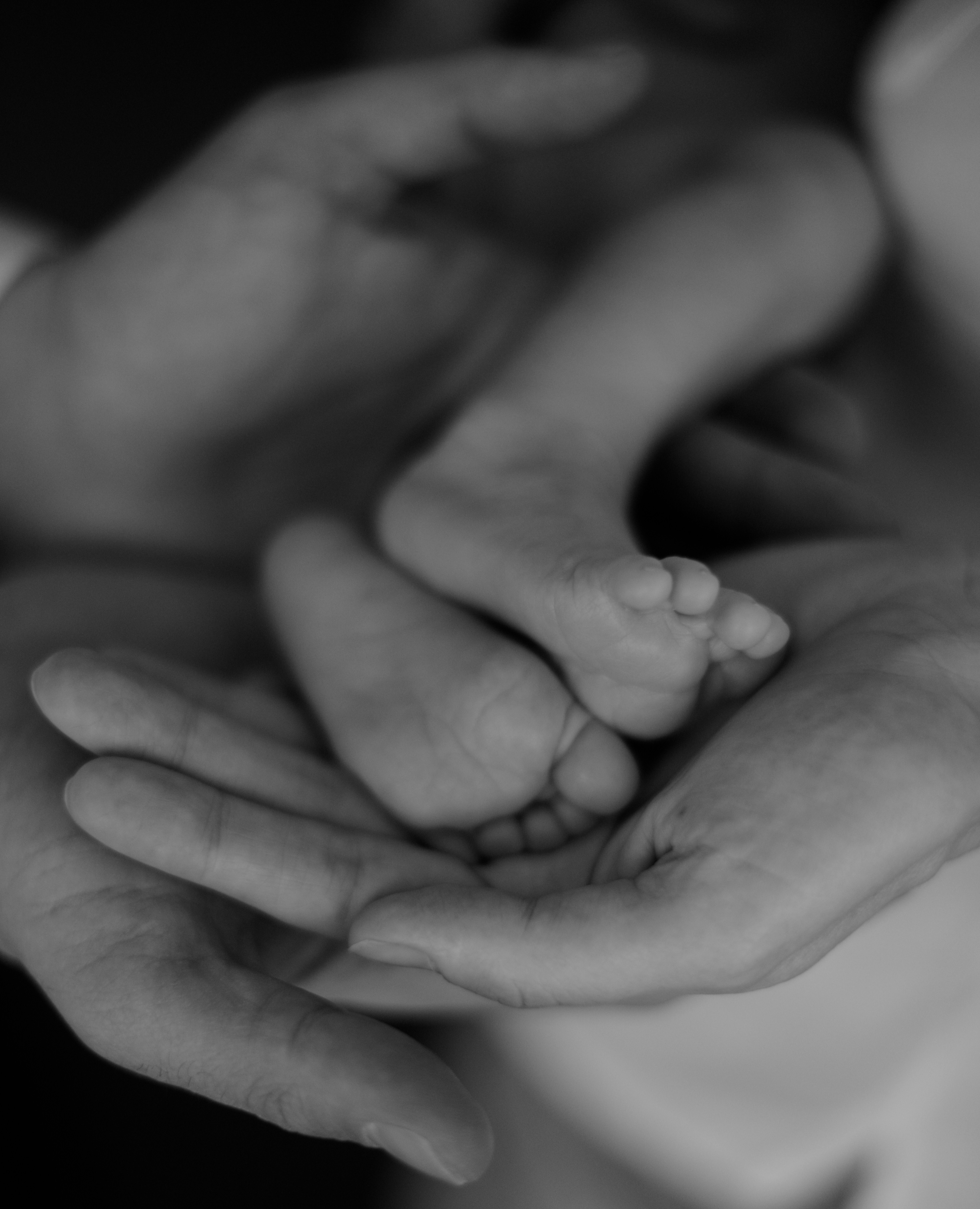 suivi postnatal prado sortie maternité sage-femme réseaux sassenage noyarey veurey engin montaud saint égrève fontaine gambirasio