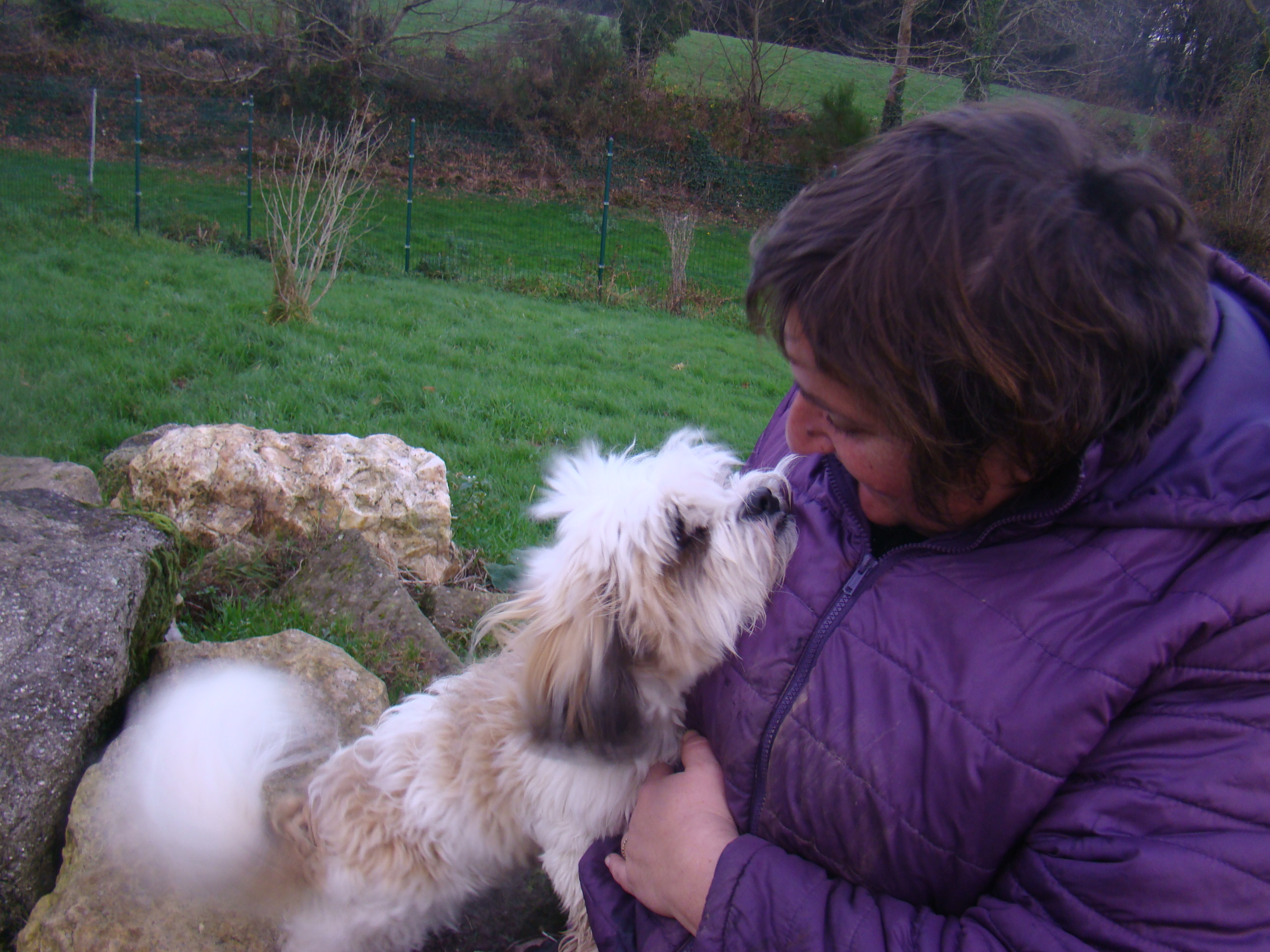 Chiens vacances de noel 2015 027
