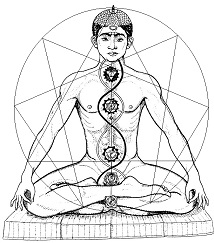 7 chakras Kundalini Enneagramme grand cercle