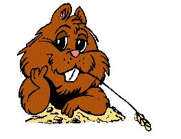 Marmotte moufette attrape cage raton exterminateur location