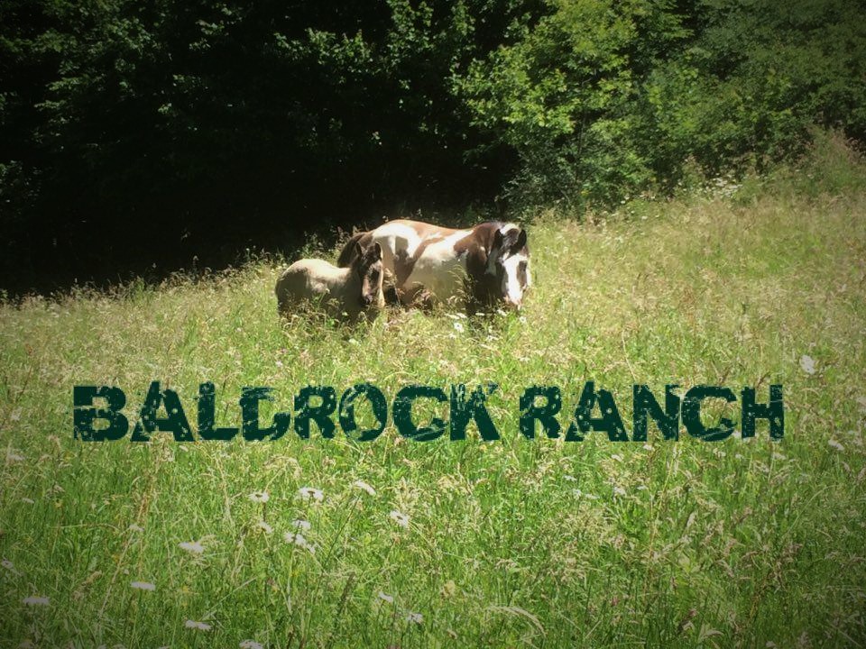 13466463 1786599248251386 7615587498885455862 n