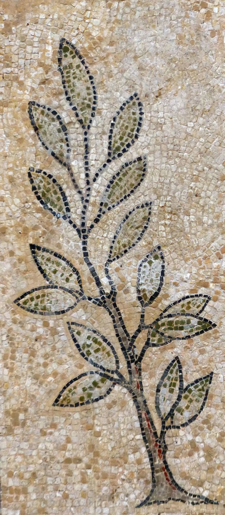 Mosaïque d'Orphée (détail) - Musée d'art et d'archéologie du Pays de Laon