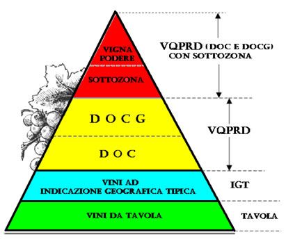 Classificazione vini big