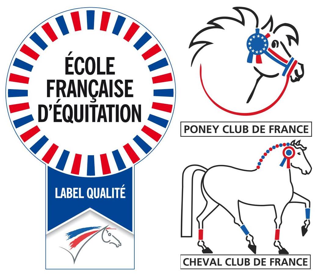 Logo efe pcf ccf