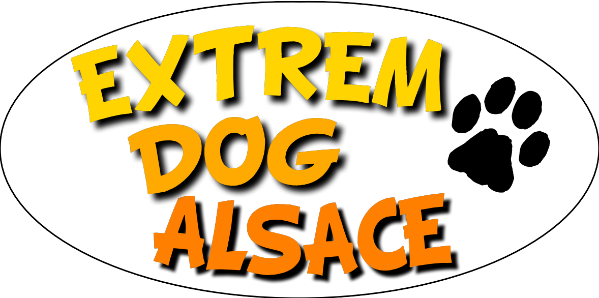 Logo seul fond blanc