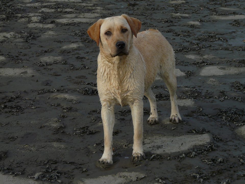 12118877 1037873332931043 8275747133456177540 n