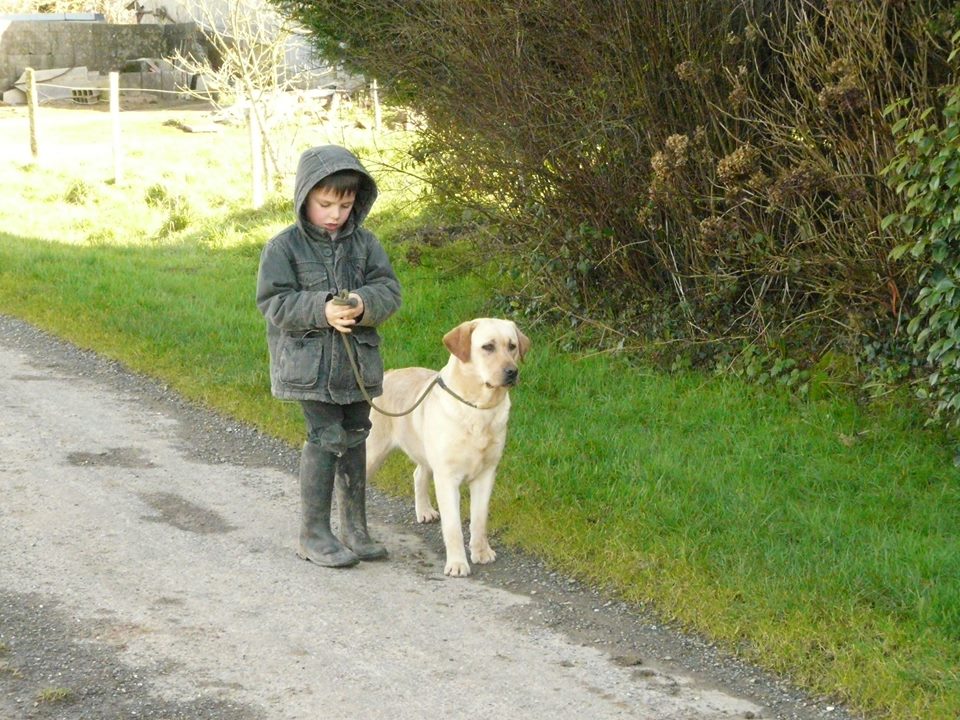 12705537 1097672473617795 3305104903785074221 n